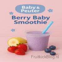 Berry Baby Berry Baby Smoothie