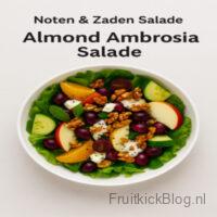 Almond Ambrosia - Noten & Zaden Salade 3 Almond Ambrosia salade met amandelen en fruit – gezonde noten en zaden salade